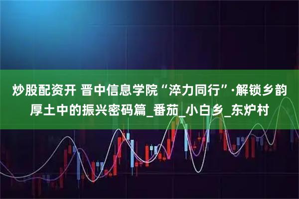 炒股配资开 晋中信息学院“淬力同行”·解锁乡韵厚土中的振兴密码篇_番茄_小白乡_东炉村