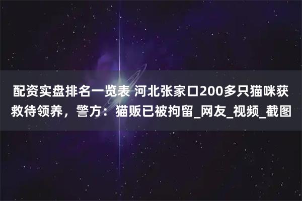 配资实盘排名一览表 河北张家口200多只猫咪获救待领养，警方：猫贩已被拘留_网友_视频_截图